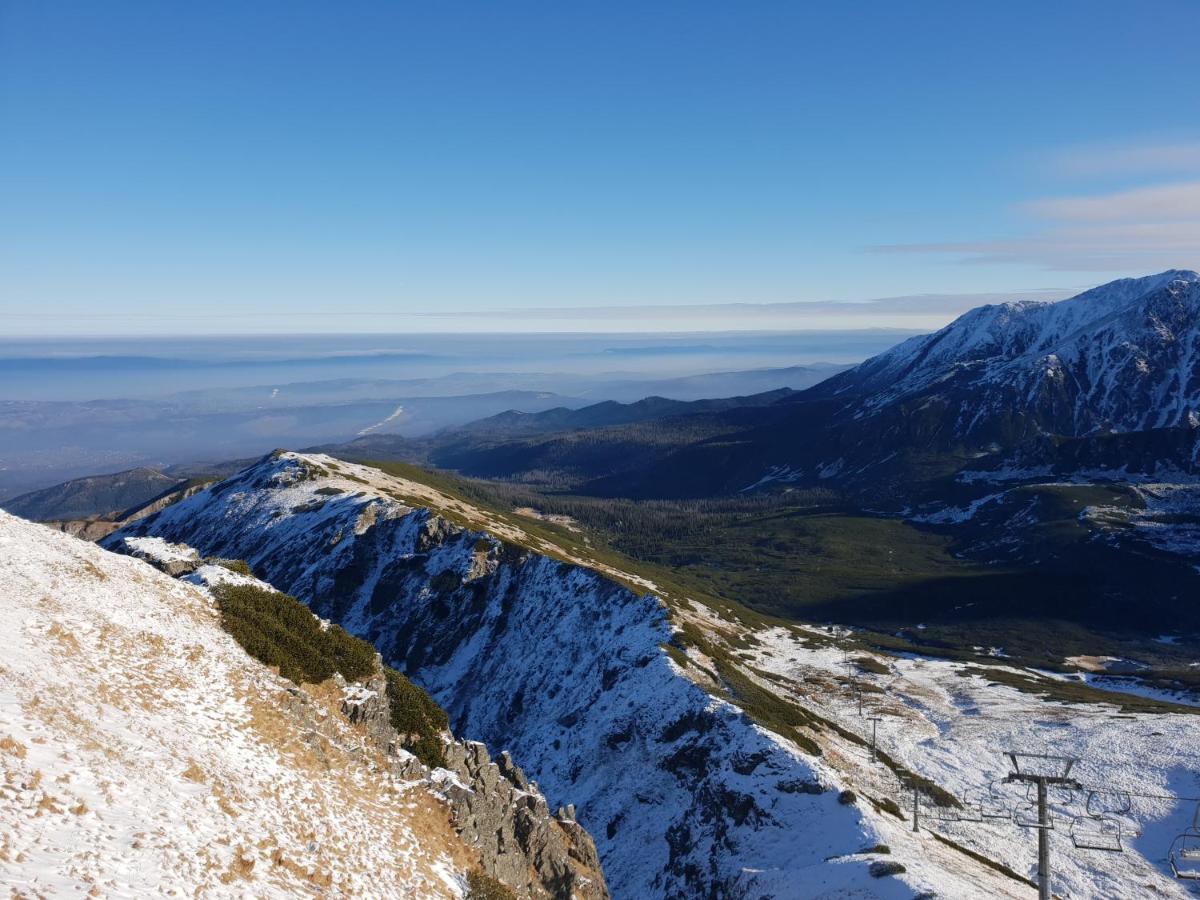 Karol Daire Zakopane Dış mekan fotoğraf